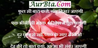 Sunday Thoughts in Hindi : फूल सी बात करो, गंध बिखर जाएगी एक भीनी सी महक, परिवेश में घुल जाएगी Sunday thoughts in hindi, motivational quote in hindi, thoughts, Sunday vibes, सुविचार, सुप्रभात, विचार, thought of the day, motivation quote