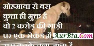 MohMaya Jokes : मोहमाया से बस कुत्ता ही मुक्त है…वो 2 करोड़ की गाड़ी पर एक सेकंड में सुसु करके चला जाता है… mohmaya jokes dog jokes latest trending india ke jokes,मोहमाया से बस कुत्ता ही मुक्त है,वो 2करोड़ की गाड़ी पर 1सेकंड में सुसु करके चलाजाता है