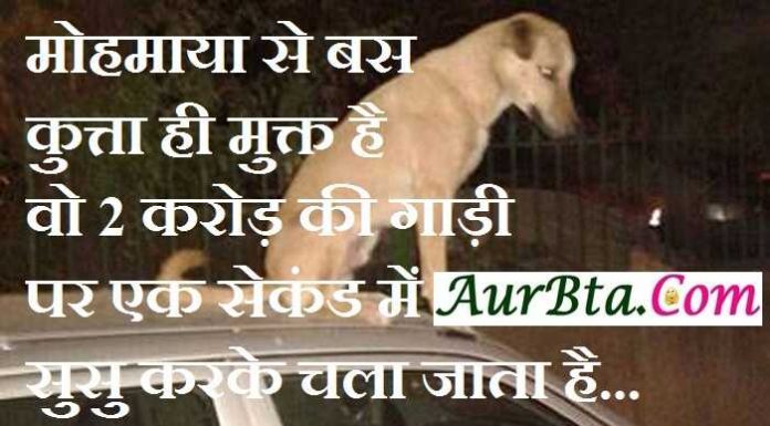 MohMaya Jokes : मोहमाया से बस कुत्ता ही मुक्त है…वो 2 करोड़ की गाड़ी पर एक सेकंड में सुसु करके चला जाता है… mohmaya jokes dog jokes latest trending india ke jokes,मोहमाया से बस कुत्ता ही मुक्त है,वो 2करोड़ की गाड़ी पर 1सेकंड में सुसु करके चलाजाता है