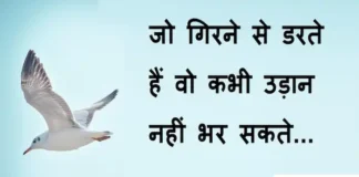 Thoughts in Hindi: जो गिरने से डरते हैं वो कभी उड़ान नहीं भर सकते Thoughts-in-hindi-Friday-suvichar-suprabhat-good-morning-inspirational-motivational-quotes-in-hindi