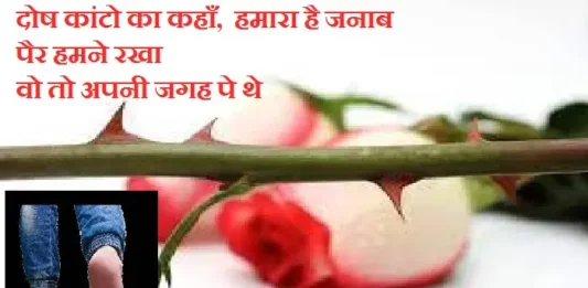 ishq shayari in hindi  love shayaris in hindi izzat shayari shayar ki shayari, dosh kanto ka kahan hamara hai janab pair hame rakha vo to apni jagah par the