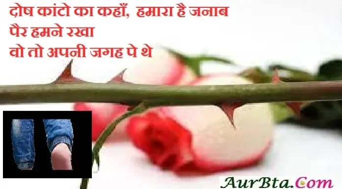 शायरी – दोष कांटो का कहाँ हमारा है जनाब ishq shayari in hindi love shayaris in hindi izzat shayari shayar ki shayari, dosh kanto ka kahan hamara hai janab pair hame rakha vo to apni jagah par the