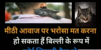 Thoughts In Hindi-मीठी आवाज पर भरोसा मत करना… Thought-in-hindi-Monday-suvichar-suprabhat-good-morning-quote-inspirational-motivational-quote-in-hindi-thought-for-the-day, , mithi aawaj par bharosa mat karna ho sakta hai billi ke roop me koi shikari baitha ho