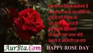 7th february 2023 rose day, happy rose day, Happy Rose Day 2023, Happy Rose Day 2023 photo, happy rose day 2023 pic, happy rose day 2023 shayari, happy rose day date 2023, happy rose day wishes, rose day 2023, rose day 2023 list, rose day date, rose day images, rose day kab aata hai, rose day kab hai, rose day kab hai 2023, rose day quotes, rose day shayari, rose day wishes, tuesday rose day,