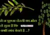 Thoughts In Hindi-हमसे न पूछना कभी दोस्ती का मोल… Thoughts-in-hindi whatsappstatus Tuesday-suvichar-suprabhat-good-morning-quotes inspirational-motivational-quotes-in-hindi-thought-of-the-day, hamse n puchhana dosti ka mol tumne suna hai ki ped kabhi chhanv bechte hai