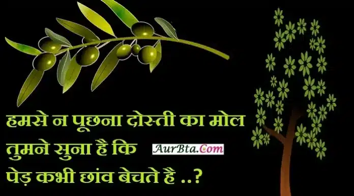 Thoughts In Hindi-हमसे न पूछना कभी दोस्ती का मोल… Thoughts-in-hindi whatsappstatus Tuesday-suvichar-suprabhat-good-morning-quotes inspirational-motivational-quotes-in-hindi-thought-of-the-day, hamse n puchhana dosti ka mol tumne suna hai ki ped kabhi chhanv bechte hai