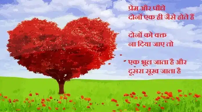 Wednesday Thoughts – प्रेम और पौधे दोनों एक ही जैसे होते हैं.. Thoughts-in-hindi-Wednesday-suvichar-suprabhat-status-good-morning-quotes-inspirational-motivational-quotes-in-hindi-thought-of-the-day