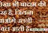 धोखा भी बादाम की तरह है जितना खाओंगे उतनी अक्ल आएगी – सुविचार Thoughts-in-hindi Tuesday-Prernadayak-Suvichar-Status-Good-Morning-Quote-Inspirational-Motivational-Quotes, dhokha bhi badam ki tarah hai jitna khaonge utni akl aati hai
