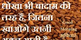 Sunday Thoughts-धोखा भी बादाम की तरह है, जितना खाओगे उतनी अक्ल आती है.. Sunday-Thoughts-in-hindi-Sunday-prernadayak-suvichar-motivational-quotes-in-hindi, dhokha bhi badam ki tarah hai jitna khaonge utni akl aati hai