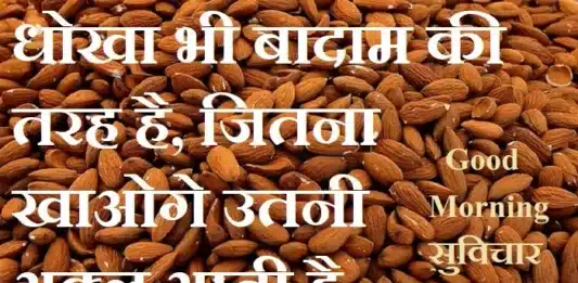 Sunday-Thoughts-in-hindi-Sunday-prernadayak-suvichar-motivational-quotes-in-hindi, dhokha bhi badam ki tarah hai jitna khaonge utni akl aati hai