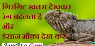 Status In Hindi-गिरगिट खतरा देखकर रंग बदलता है, और इंसान मौक़ा देख कर … Status-Thoughts-in-hindi-Monday-suvichar-suprabhat-motivational-quotes-in-hindi-good-morning-inspirational-thoughts, girgit khatra dekhkar rang badlta hai aur insaan mauka dekh kar
