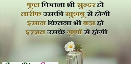 Thought-in-hindi-Status-Thursday-suvichar-suprabhat-good-morning-quote-inspirational-motivational-quote-in-hindi, phool kitna bhi sunder ho tarif uski khusabu se hogi