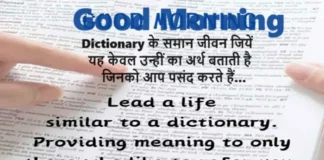 Daily Status In Hindi – Dictionary के समान जीवन जियें… Daily-Status-in-Hindi Wednesday-suvichar inspirational-motivational-quotes-Hindi, Lead A Life Similar To A DictionaryProviding Meaning To Only