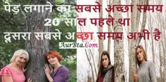 Suvichar In Hindi – पेड़ लगाने का सबसे अच्छा समय 20 साल पहले था दूसरा सबसे… Suvichar in Hindi Before After Now Thoughts