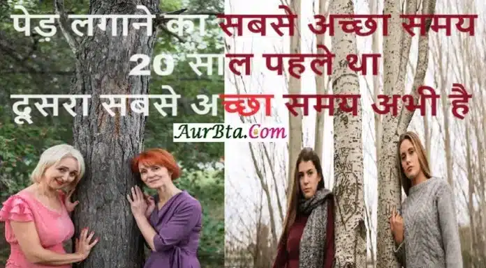 Suvichar In Hindi – पेड़ लगाने का सबसे अच्छा समय 20 साल पहले था दूसरा सबसे… Suvichar in Hindi Before After Now Thoughts