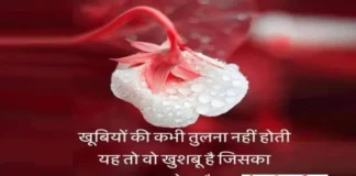 Suvichar In Hindi-खूबियों की कभी तुलना नहीं होती Thought-Status-in-hindi Monday-Tuesday-prernadayak-suvichar-inspirational-motivational-quotes, khubiyon ki kabhi tulna nahi hoti yah to vo khushaboo hai jiska ehsas hota hai